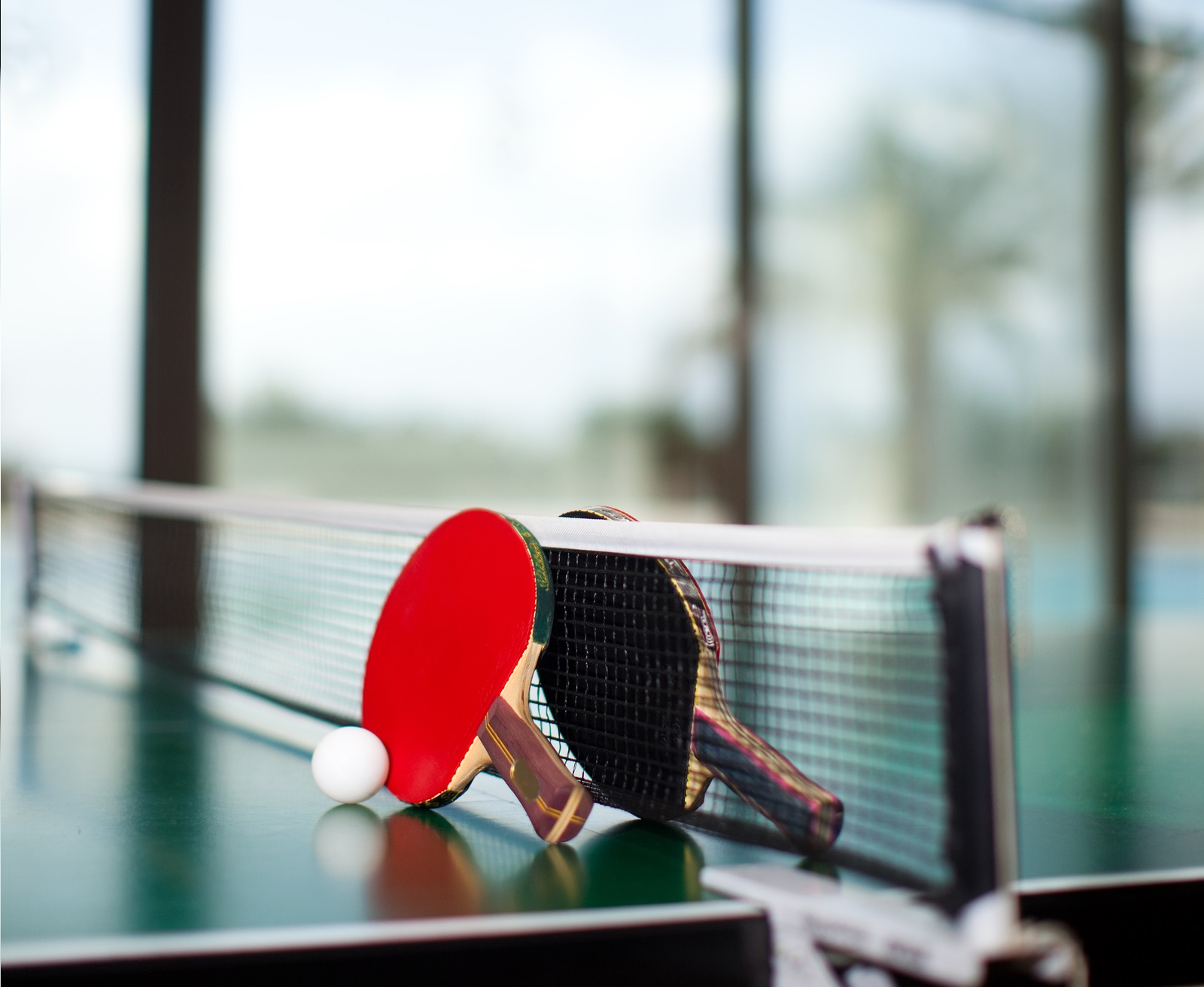 Table Tennis Rackets And Ball Arcade Specialties Game Rentals